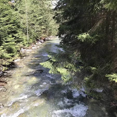 Alpesi faház Chalet Hugo