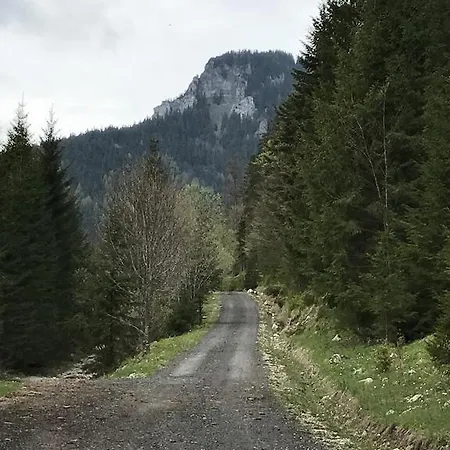 Chalet Hugo Alpesi faház Liptovský Ján