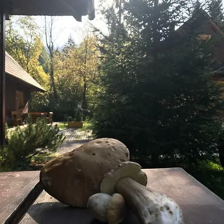 Chalet Hugo Alpesi faház Liptovský Ján