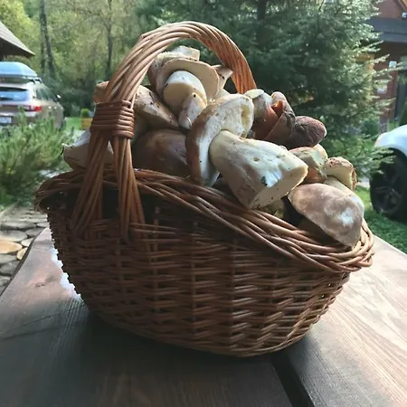 Chalet Hugo Alpesi faház Liptovský Ján